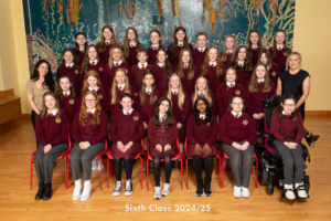 Our Lady of Lourdes NS 6th Class Photo 2025